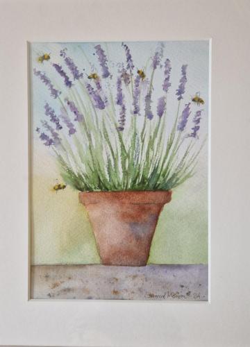 <b>Gunnel Mohme</b><br>Blommor och bin